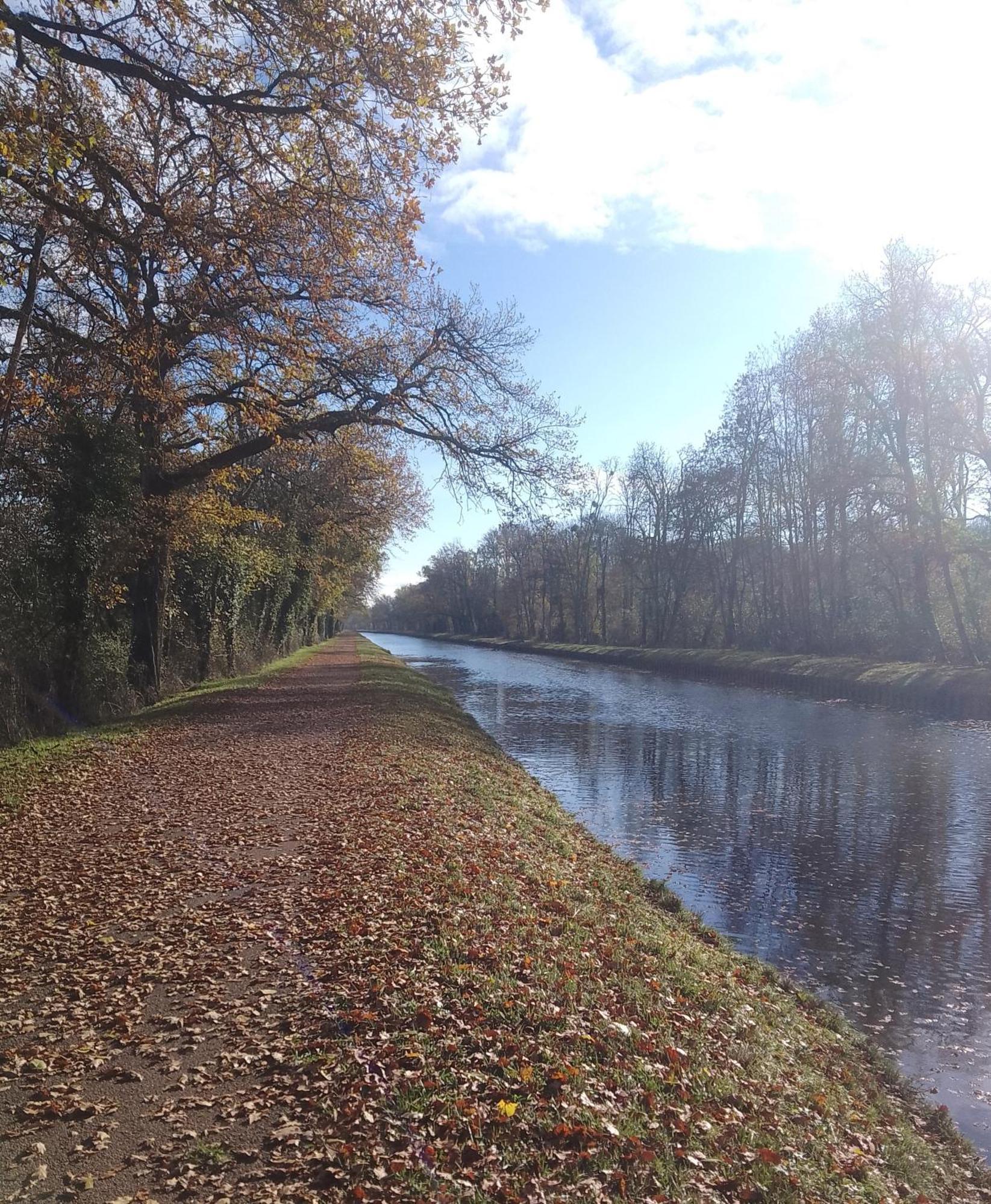 La Halte Du Canal Luthenay-Uxeloup Exteriér fotografie